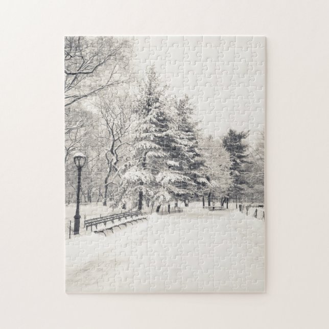 Central Park Winter Path - New York City Jigsaw Puzzle (Vertical)