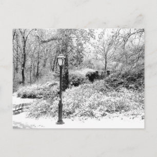 Central Park Winter Snow Landscape Photo Postcard