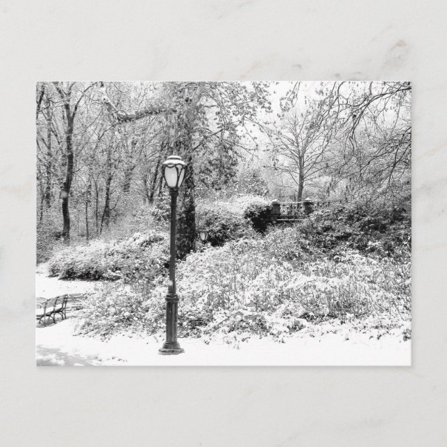 Central Park Winter Snow Landscape Photo Postcard (Front)