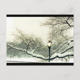 central park winter tree postcard