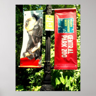 Central Park Zoo Poster