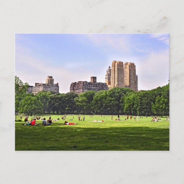 Central Park's Sheep Meadow Postcard (Front)