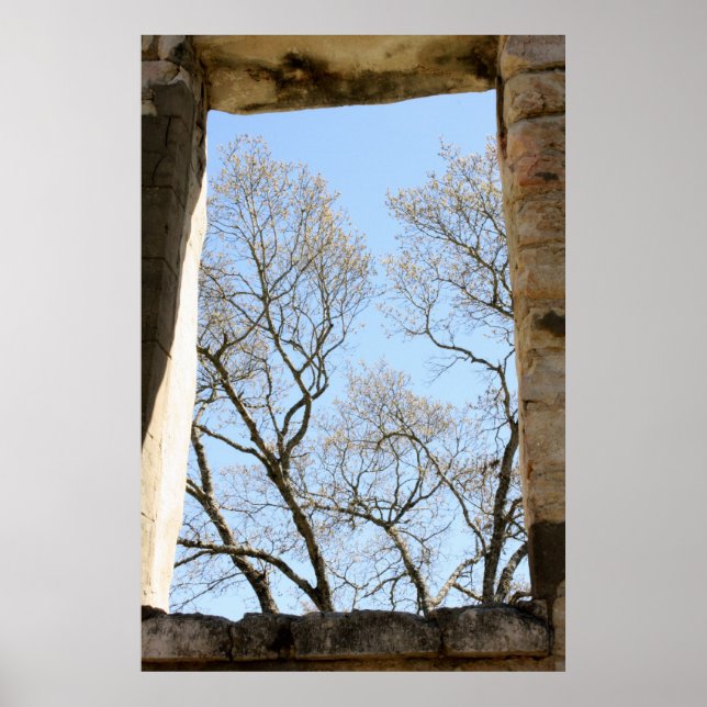 Central Texas View Poster (Front)