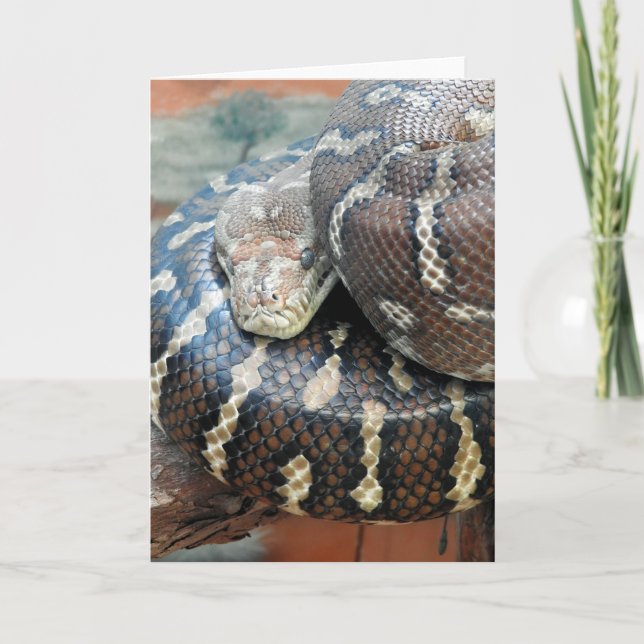 Centralian carpet python card (Front)