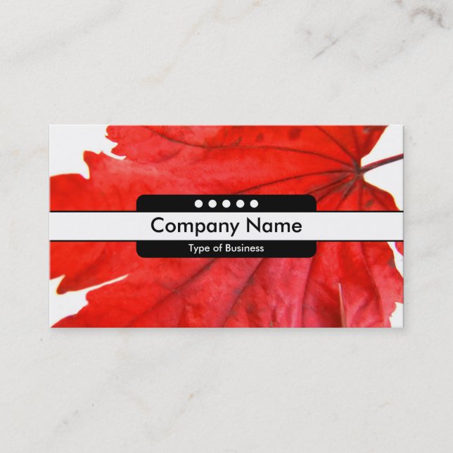 Centre Band 5 Spots Business Card (Front)