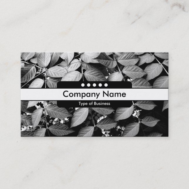 Centre Band 5 Spots - Leaves Business Card (Front)