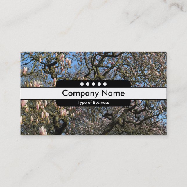 Centre Band 5 Spots - Magnolia Trees in Blossom Business Card (Front)