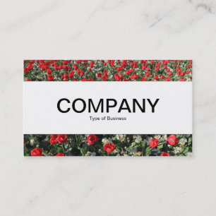 Centre Band  - Red Tulips and Primroses Business Card