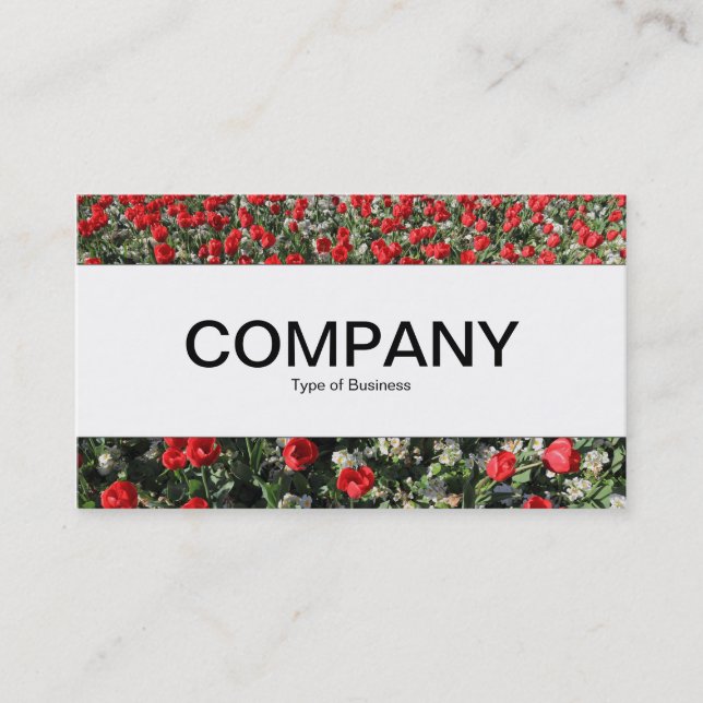 Centre Band  - Red Tulips and Primroses Business Card (Front)