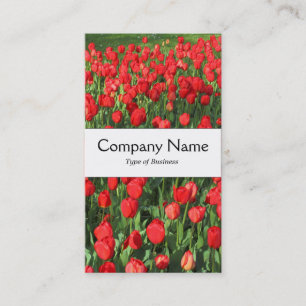 Centre Band - Red Tulips Business Card