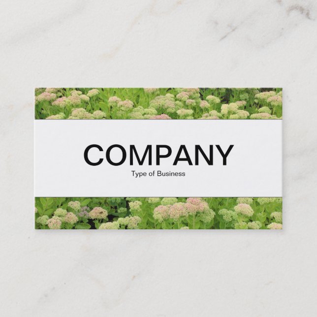 Centre Band  - Sedum (Autumn Joy) Business Card (Front)