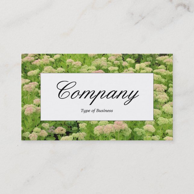 Centre Label - Sedum (Autumn Joy) Business Card (Front)