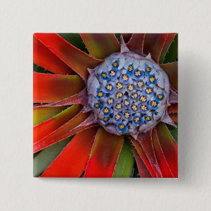 Centre of a blooming agave - San Francisco 15 Cm Square Badge