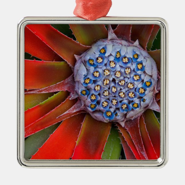 Centre of a blooming agave - San Francisco Metal Tree Decoration (Front)