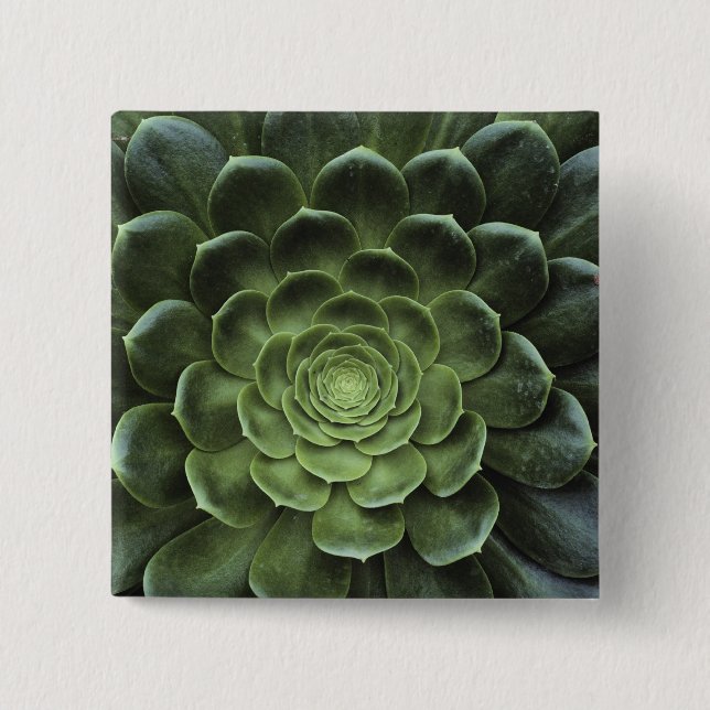 Centre of Cactus 15 Cm Square Badge (Front)