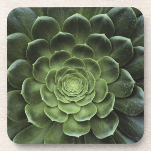 Centre of Cactus Coaster