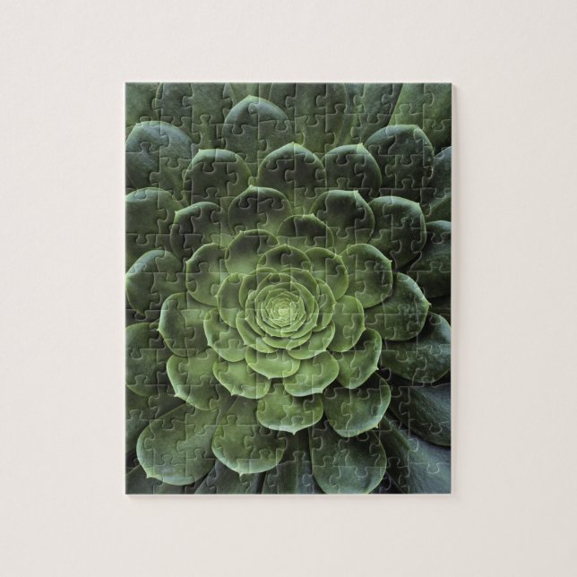 Centre of Cactus Jigsaw Puzzle (Vertical)