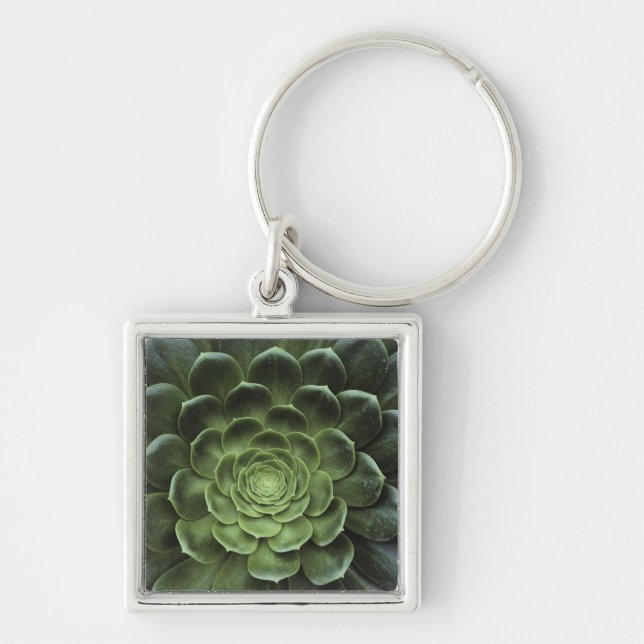 Centre of Cactus Key Ring (Front)