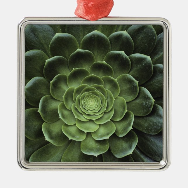 Centre of Cactus Metal Ornament (Front)