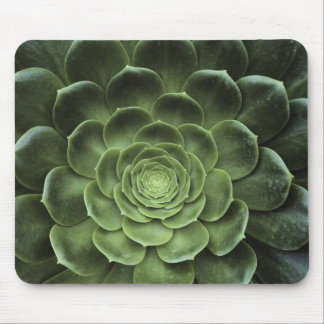 Centre of Cactus Mouse Pad