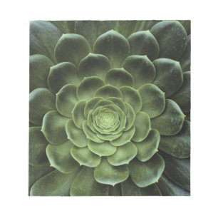 Centre of Cactus Notepad