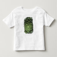 Centre of Cactus