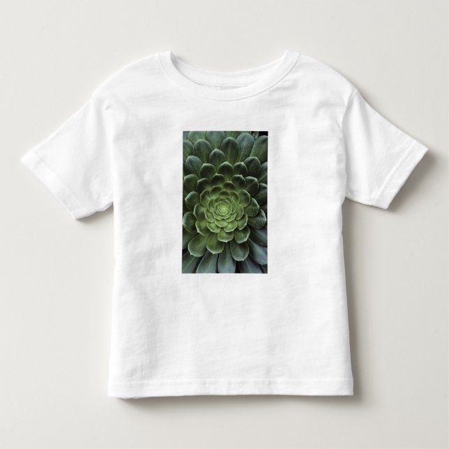 Centre of Cactus Toddler T-Shirt (Front)
