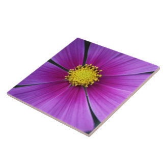 Centre of the Cosmos Tile