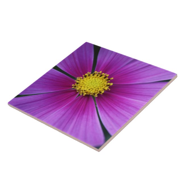 Centre of the Cosmos Tile (Side)