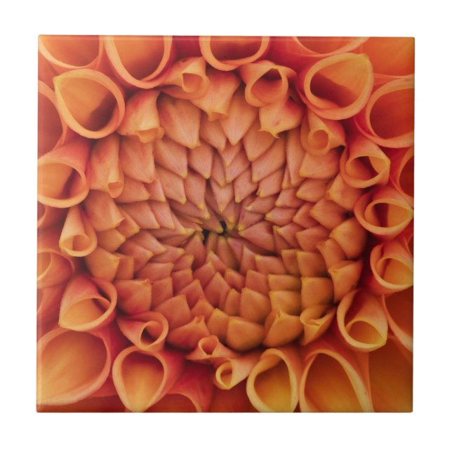 Centre Orange Dahlia Flower Ceramic Tile (Front)