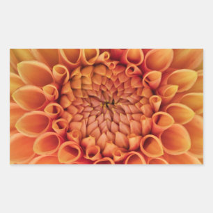 Centre Orange Dahlia Flower Rectangular Sticker