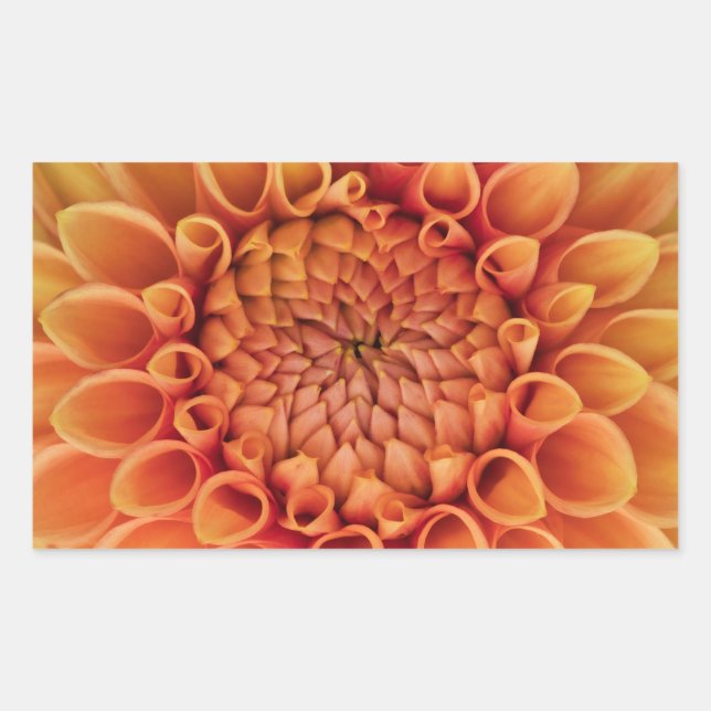 Centre Orange Dahlia Flower Rectangular Sticker (Front)