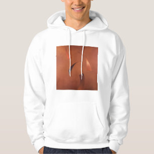 Centrifuge 2010 hoodie