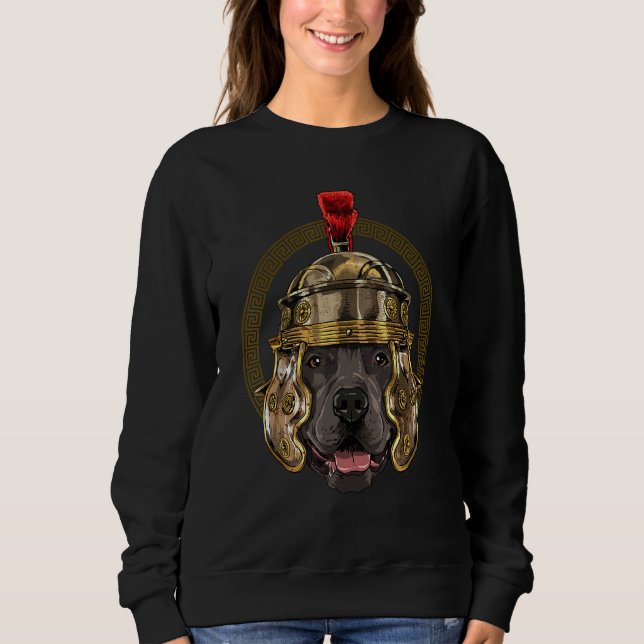 Centurion American Pit Bull Terrier Ancient Rome R Sweatshirt (Front)