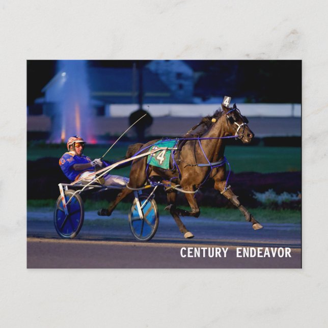 CENTURY ENDEAVOR POSTCARD (Front)