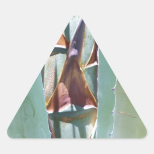 Century or Agave Triangle Sticker