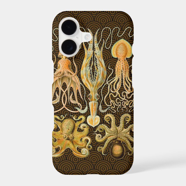 Cephalopod Octopus Squid Marine Nature (Back)