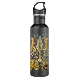 Cephalopod Octopus Squid Marine Nature 710 Ml Water Bottle