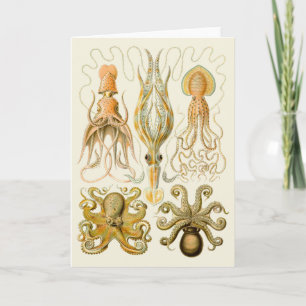 Cephalopod Octopus Squid Marine Nature Card