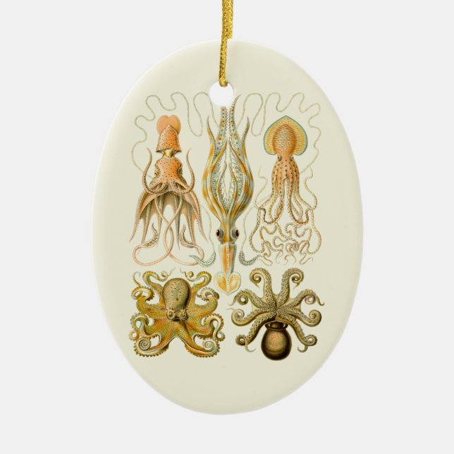 Cephalopod Octopus Squid Marine Nature Ceramic Tree Decoration (Front)
