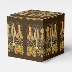 Cephalopod Octopus Squid Marine Nature Favour Box