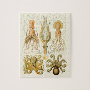 Cephalopod Octopus Squid Marine Nature Jigsaw Puzzle