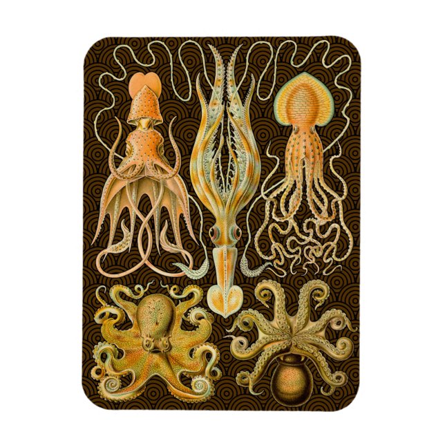 Cephalopod Octopus Squid Marine Nature Magnet (Vertical)