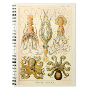 Cephalopod Octopus Squid Marine Nature Notebook