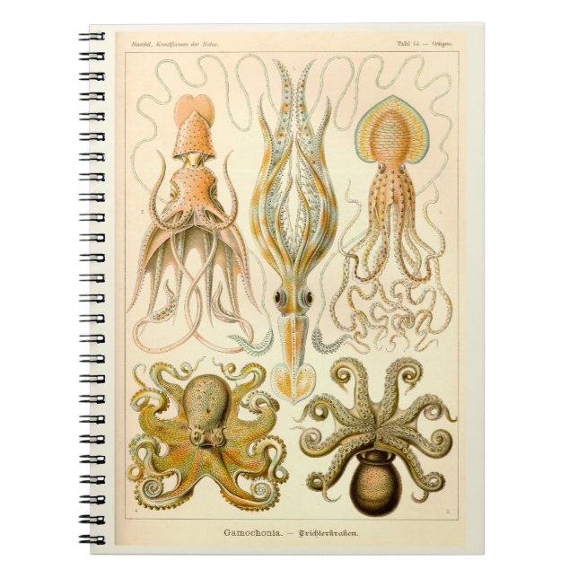 Cephalopod Octopus Squid Marine Nature Notebook (Front)