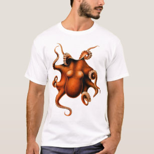 Cephalopoda of the Hawaiian Islands Shirt