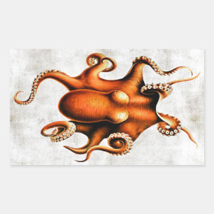 Cephalopoda of the Hawaiian Islands Sticker