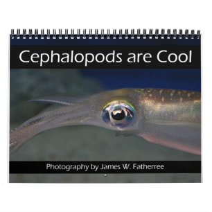 Cephalopods are Cool Calendar