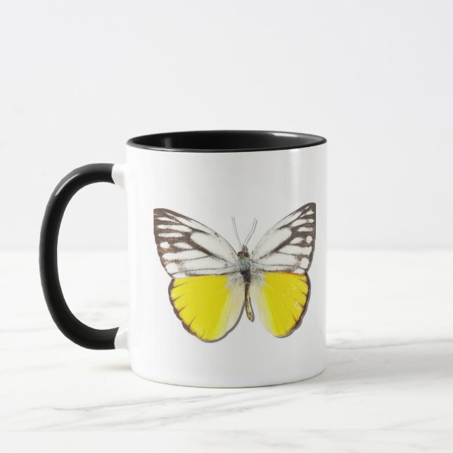 Cepora aspasia mug (Left)