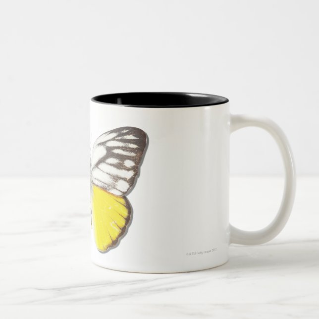 Cepora aspasia Two-Tone coffee mug (Right)